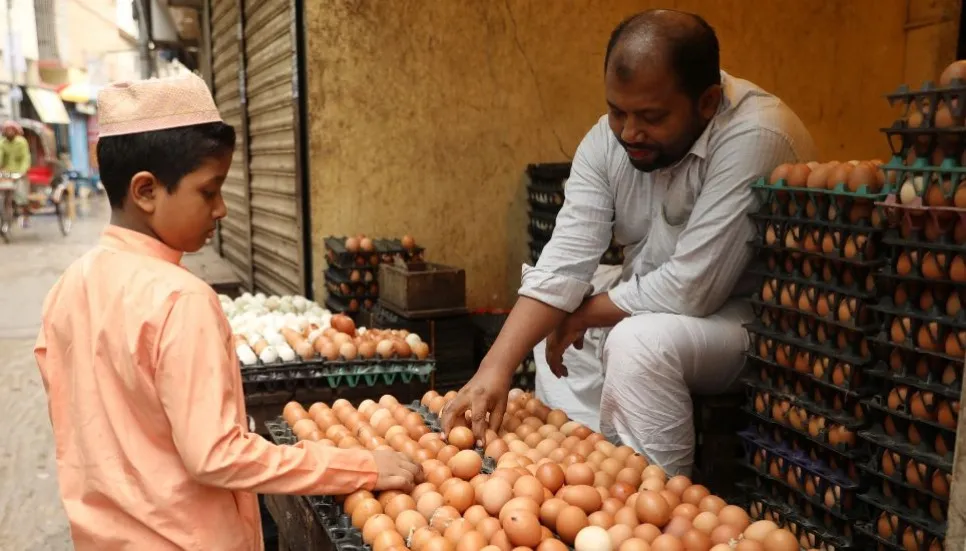 Govt fixes Tk12 per egg at retail level