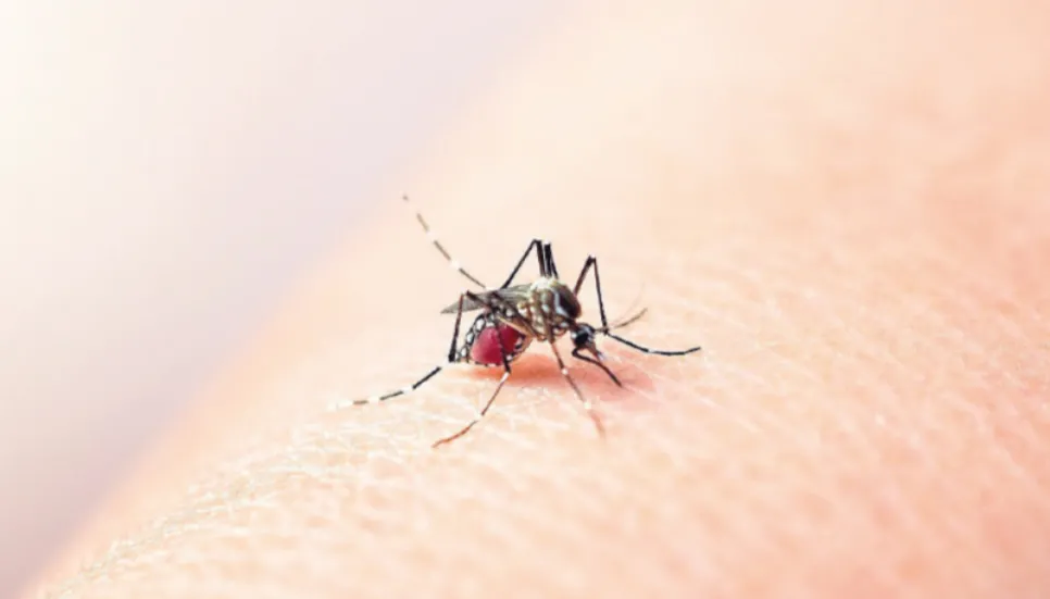 Dengue: 14 more die, 2,865 hospitalised in 24hrs
