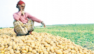 'Efforts are there to curb potato price'