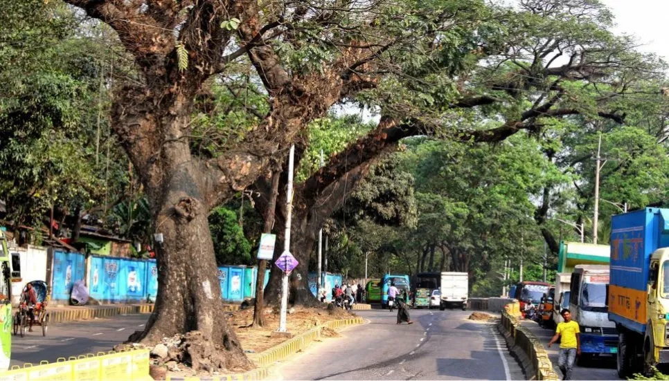 Move to fell century-old trees in Ctg sparks concerns