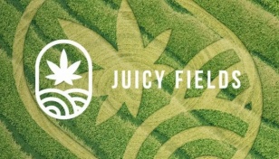 9 arrested in 'JuicyFields' cannabis fraud probe