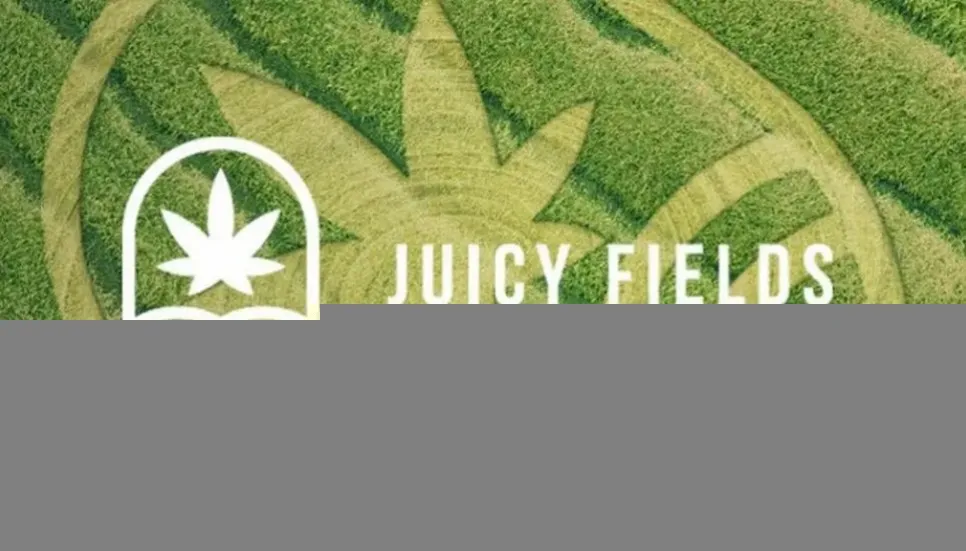 9 arrested in 'JuicyFields' cannabis fraud probe