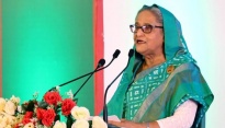 PM seeks private initiatives for livestock, fisheries sector’s dev