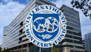 IMF welcomes bank mergers, criticises default loans