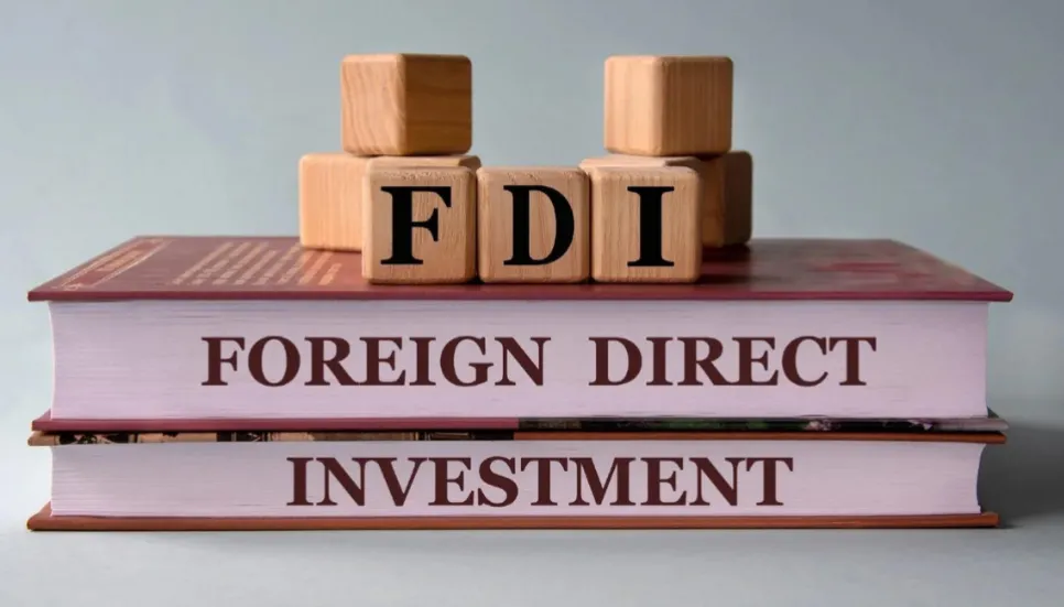 Net FDI inflow down 13.67% in 2023