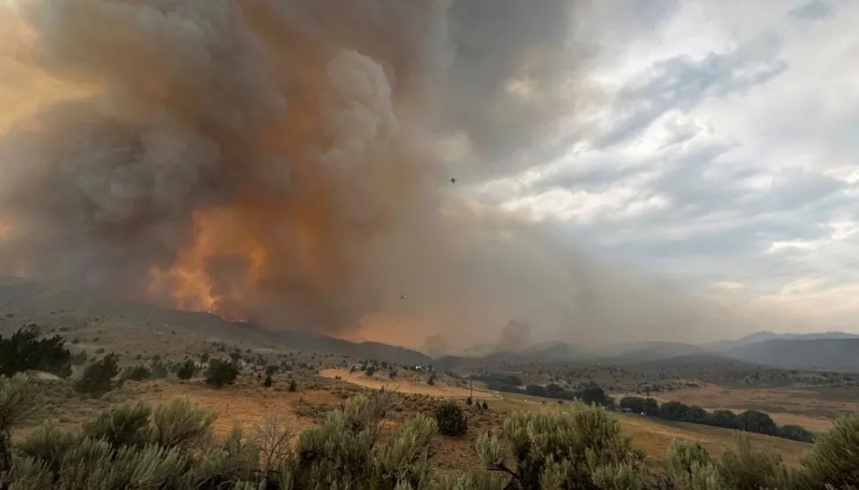 Record-breaking wildfires scorch more than 1.4m acres