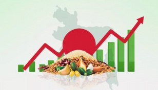 July inflation hits 12-year high at 11.66%