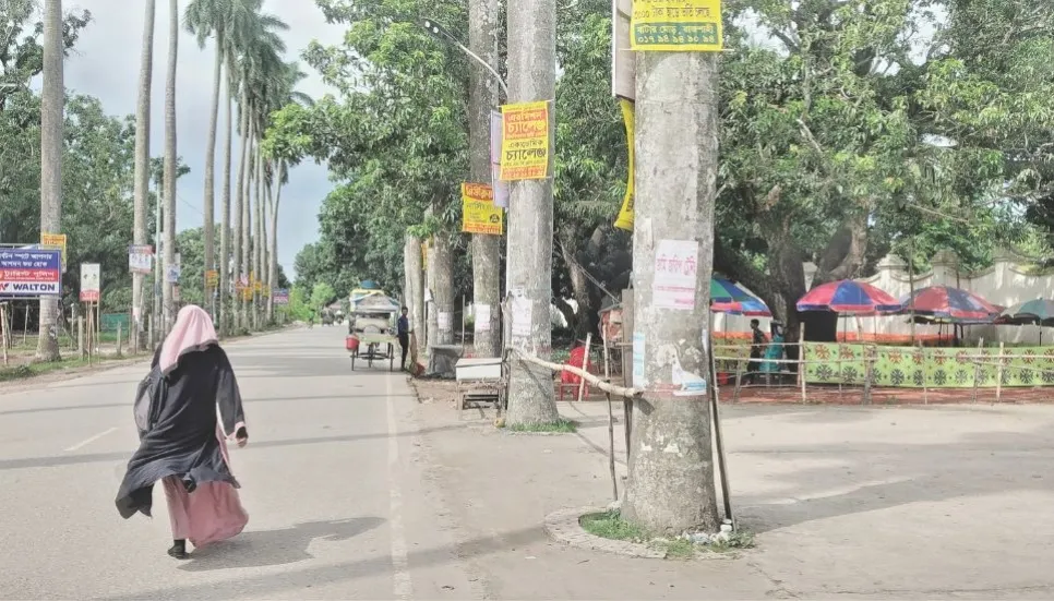 Uttara Ganabhaban mango orchard turns into marketplace