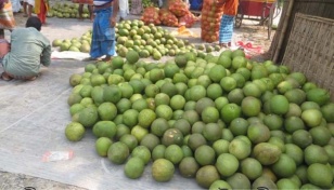 Pomelo being sold at fair price in Panchagarh