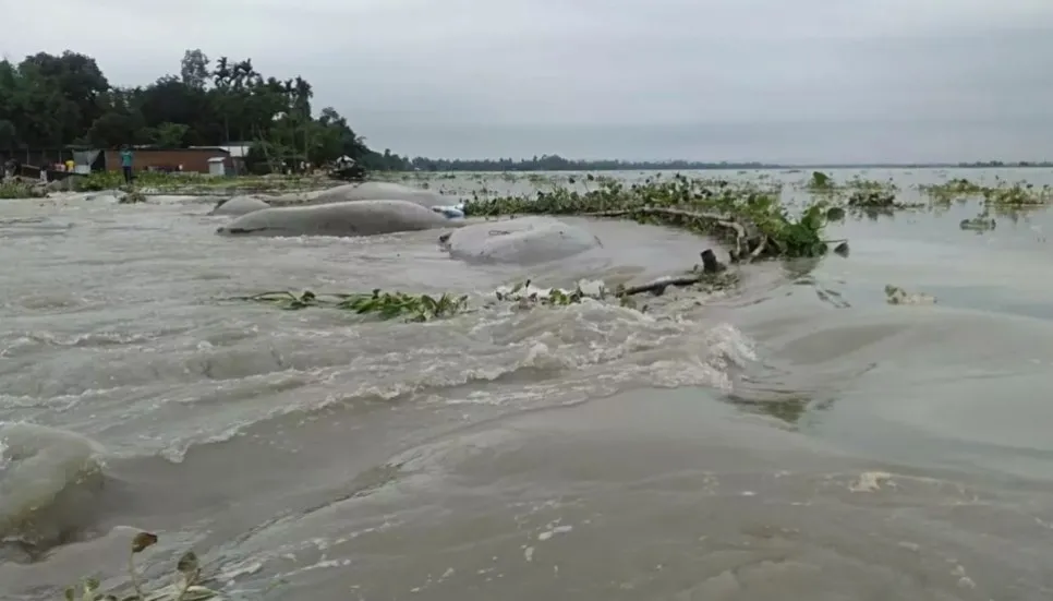 Flood protection embankment along Gumti river collapses