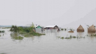 Floods wash away 1,500 fish farms in Habiganj