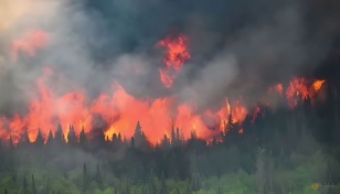 Wildfires pushed Canada into top 4 CO2 emitters in 2023