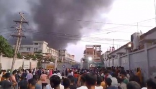 Fire at Narsingdi Pran Industrial Park under control