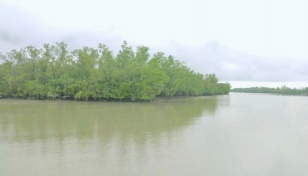 Sundarbans reopens Sunday after 3-month closure