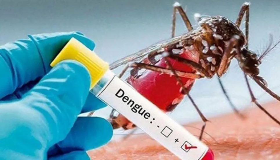 4 dengue patients die, 346 hospitalised last 24hrs