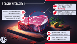 No initiative yet to curb beef market volatility