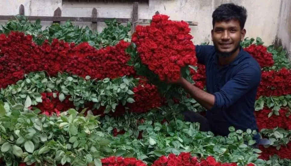 Jashore flower growers eye Tk70cr sale in Valentine's Day month