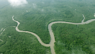 Rising salinity poses threat to Sundarbans biodiversity