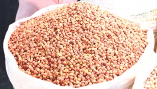 Chickpea prices rise in Chattogram despite ample supply