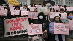 South Korea outlaws dog meat industry