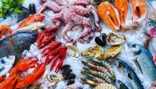 India emerges a strong player in global seafood exports