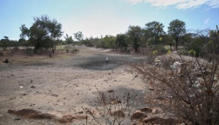 El Nino effect: Meals dry up as Zimbabwe's drought bites