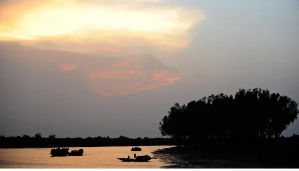 26 charged for vast mangrove forest destruction