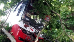 Indian citizen dead, 12 injured in Bagerhat bus collision