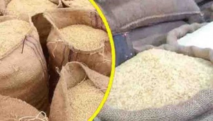 Govt to procure 30,692 tonnes of Boro rice in Jashore