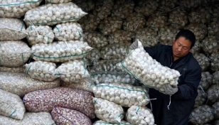 58 tonnes of garlic imported through Mongla Port