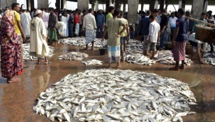 Khulna's fish export earnings decline by Tk679cr