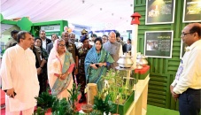 Bangladesh is a global pioneer in coastal afforestation: PM Hasina