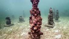 Underwater 'art gallery' serves as coral home