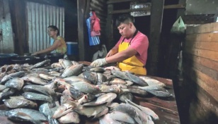 Aquaculture overtakes wild fisheries for first time: UN report