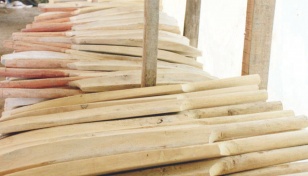 Nesarabad cricket bat industry fights for survival