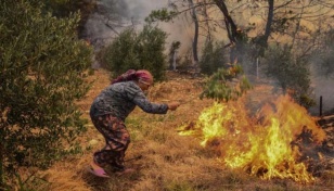 Five dead, dozens hurt in wildfires in southeastern Turkey