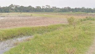 Fish farming eating up cropland in Shariatpur