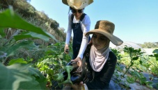 Algerian women pioneer eco-friendly farming