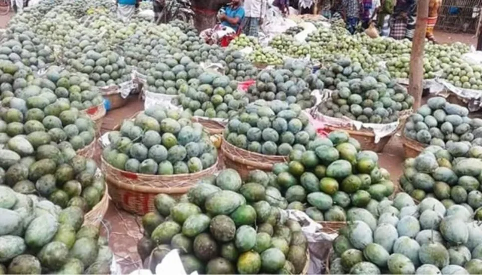 Mango business gains momentum after Eid holidays