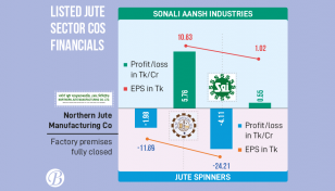 Only Sonali Aansh making profits in capital market