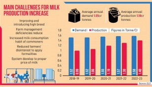 Milk production up by 130% in 10 years