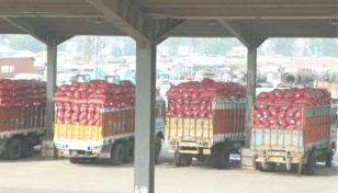 300 tonnes potatoes imported through Benapole