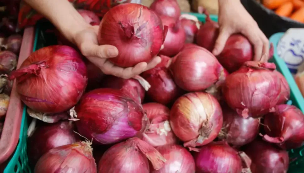 India okays onion exports to Bangladesh