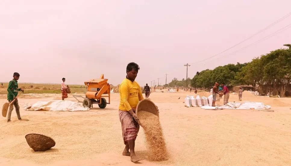 Boro paddy farmers deprived of fair prices 