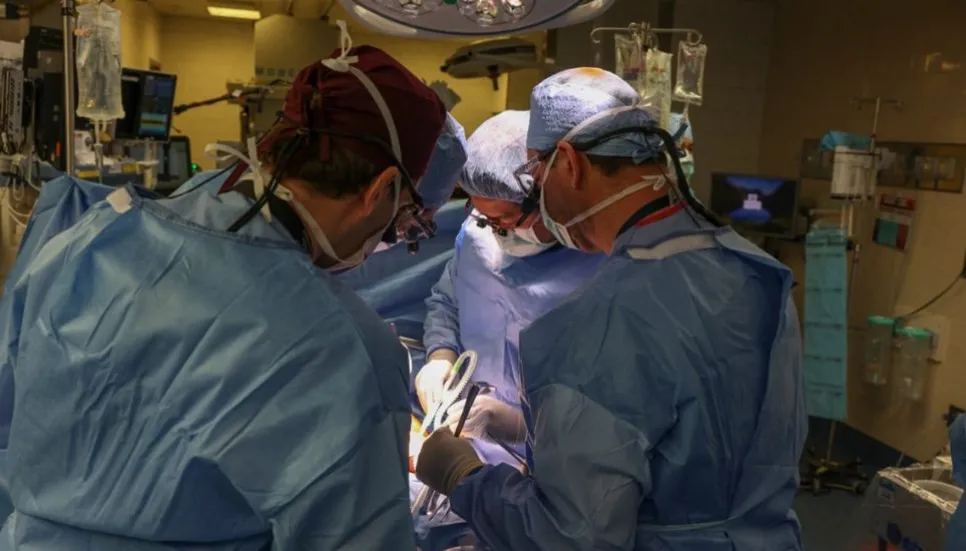 1st patient to get gene-edited pig kidney transplant dies