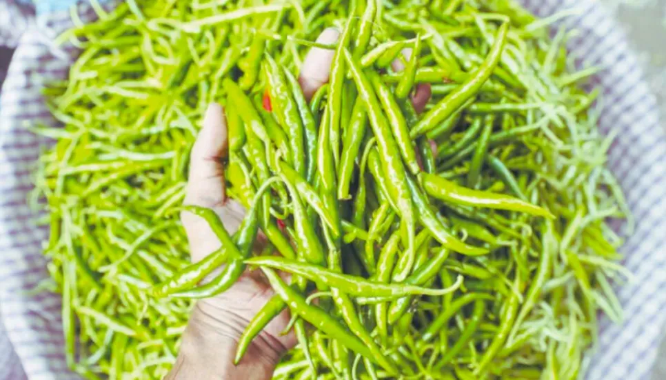 Green chilli import starts through Hili port