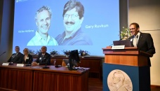 US duo win Nobel for gene regulation breakthrough