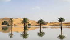 Rare images show first floods in Sahara in 50yrs