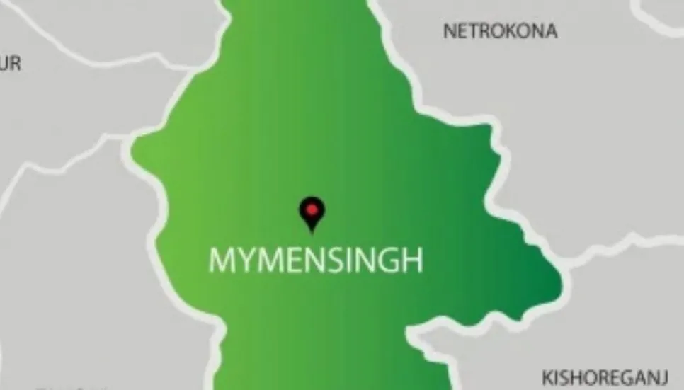 Death toll from insect stings climbs to 3 in Mymensingh