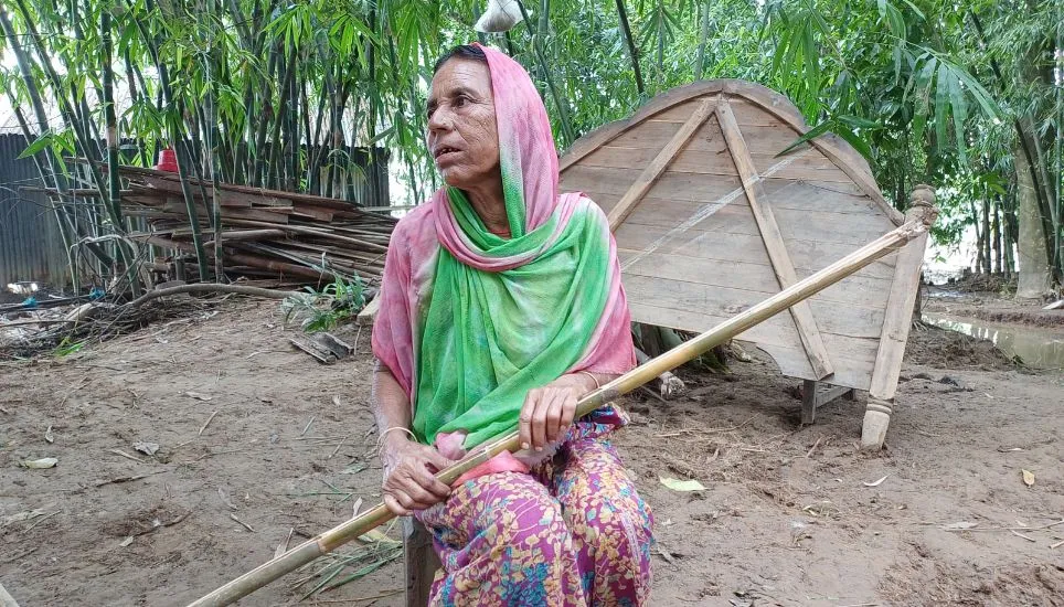 Sherpur flood causes Tk600cr losses in agriculture, fisheries